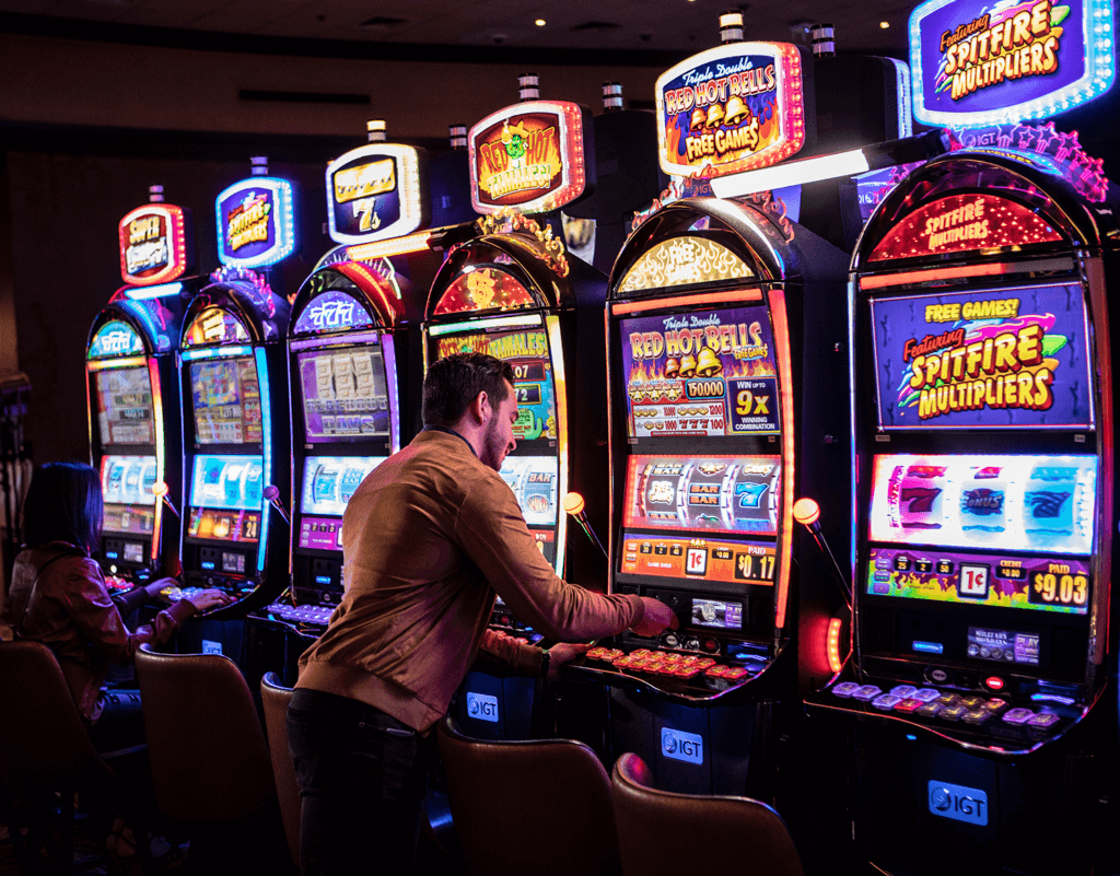 Elevating the Gaming Standard: A 2026 Review of The Pokies Australia